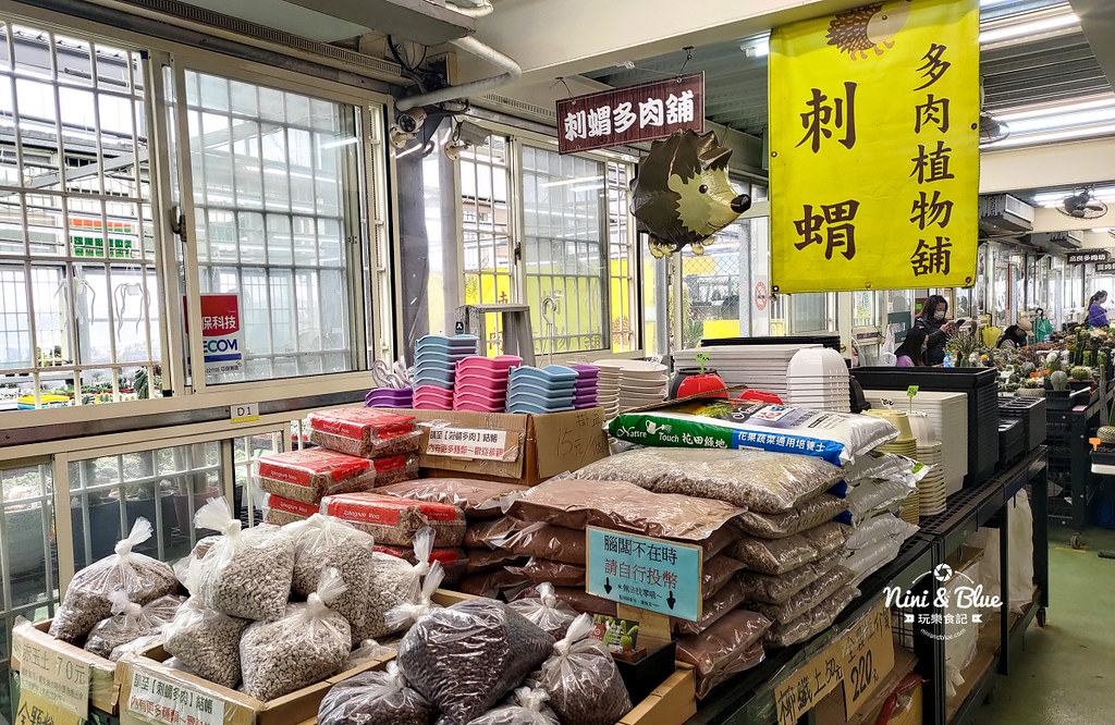 桃園多肉市集23