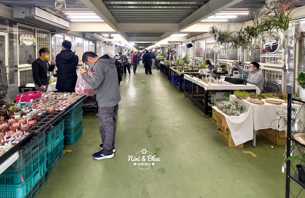 桃園多肉市集07