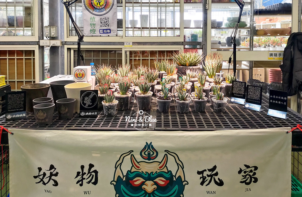 桃園多肉市集18