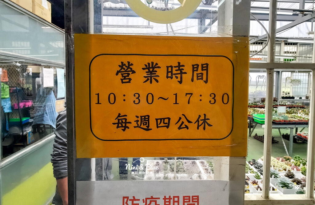 桃園多肉市集33