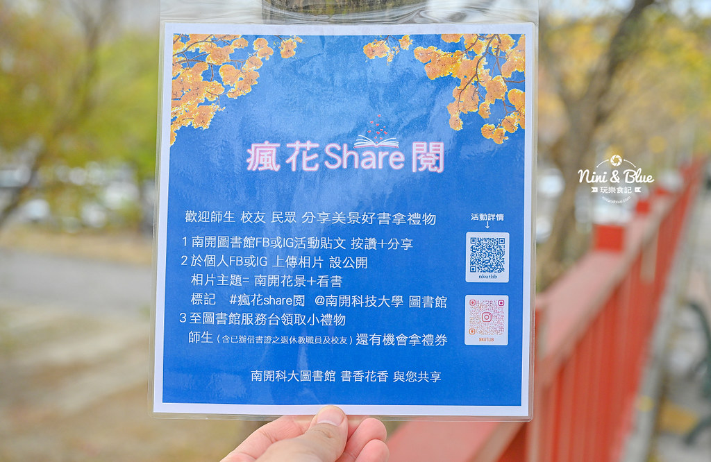 南投草屯 南開科技大學黃花風鈴木 黃金14