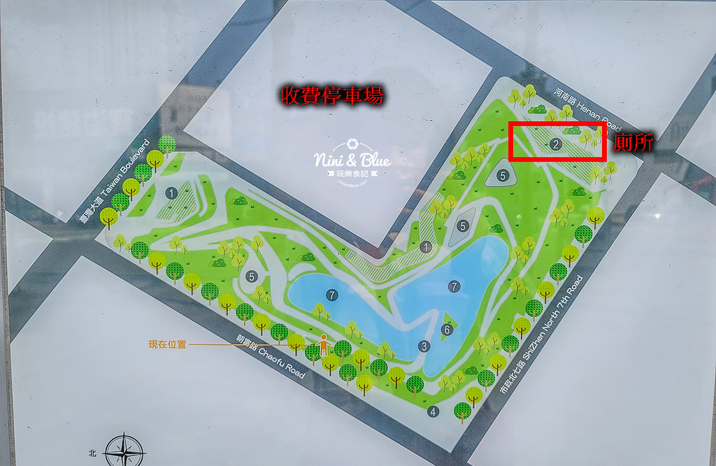 秋紅谷景觀生態公園 黑天鵝寶寶 台中免費景點33