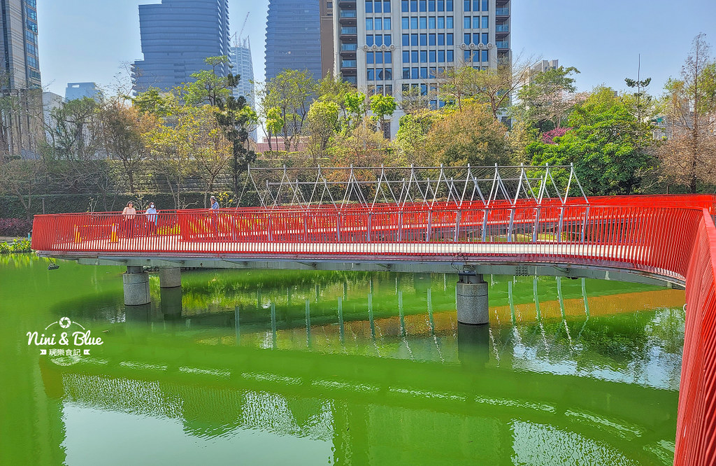 秋紅谷景觀生態公園 黑天鵝寶寶 台中免費景點23