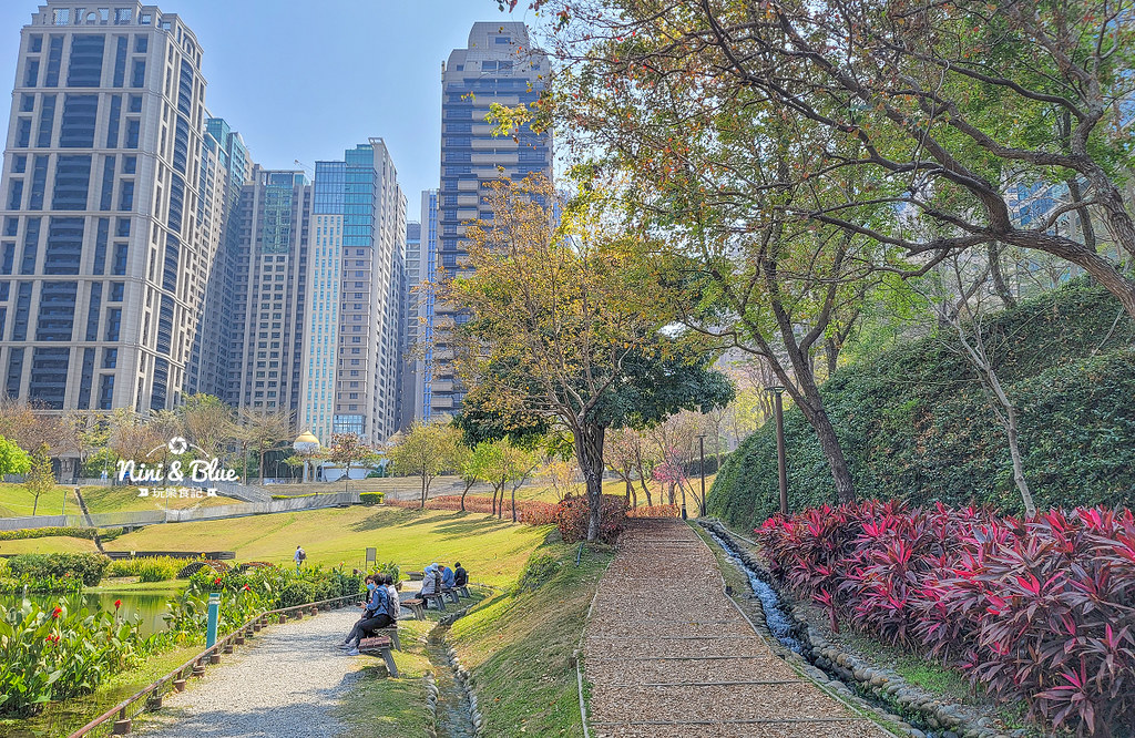 秋紅谷景觀生態公園 黑天鵝寶寶 台中免費景點19