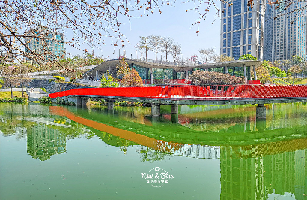 秋紅谷景觀生態公園 黑天鵝寶寶 台中免費景點10 秋紅谷景觀生態公園 黑天鵝寶寶 台中免費景點10