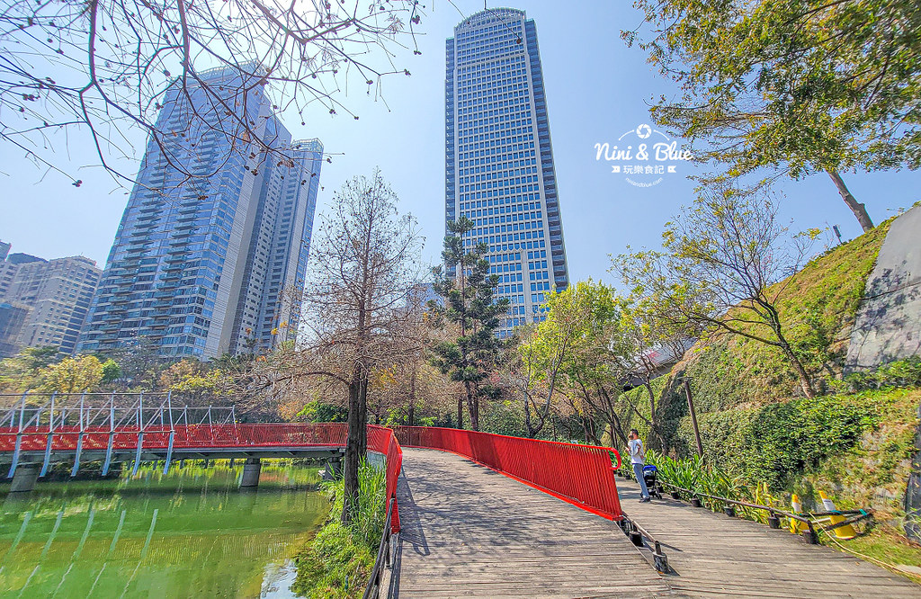 秋紅谷景觀生態公園 黑天鵝寶寶 台中免費景點09
