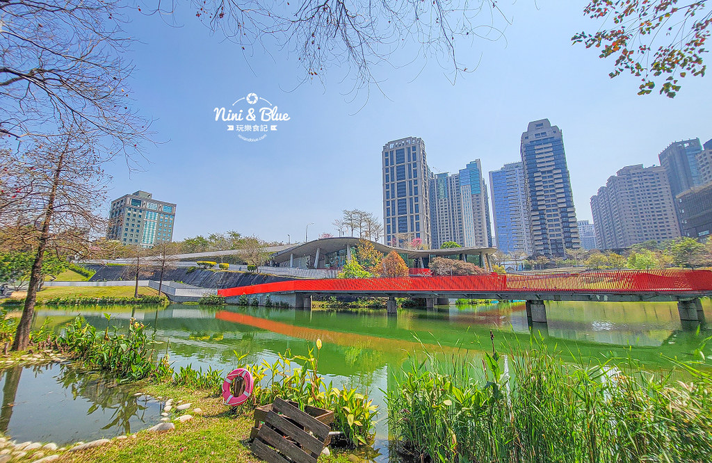 秋紅谷景觀生態公園 黑天鵝寶寶 台中免費景點08