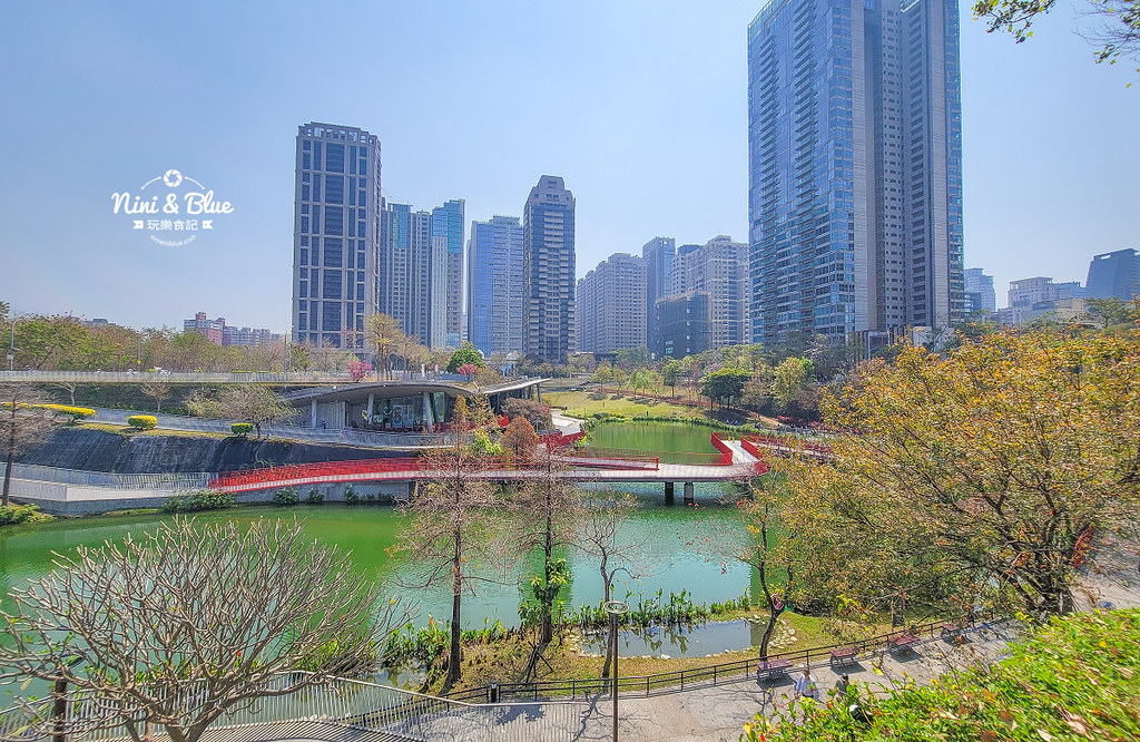 秋紅谷景觀生態公園 黑天鵝寶寶 台中免費景點01 秋紅谷景觀生態公園 黑天鵝寶寶 台中免費景點01