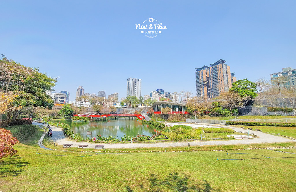秋紅谷景觀生態公園 黑天鵝寶寶 台中免費景點21