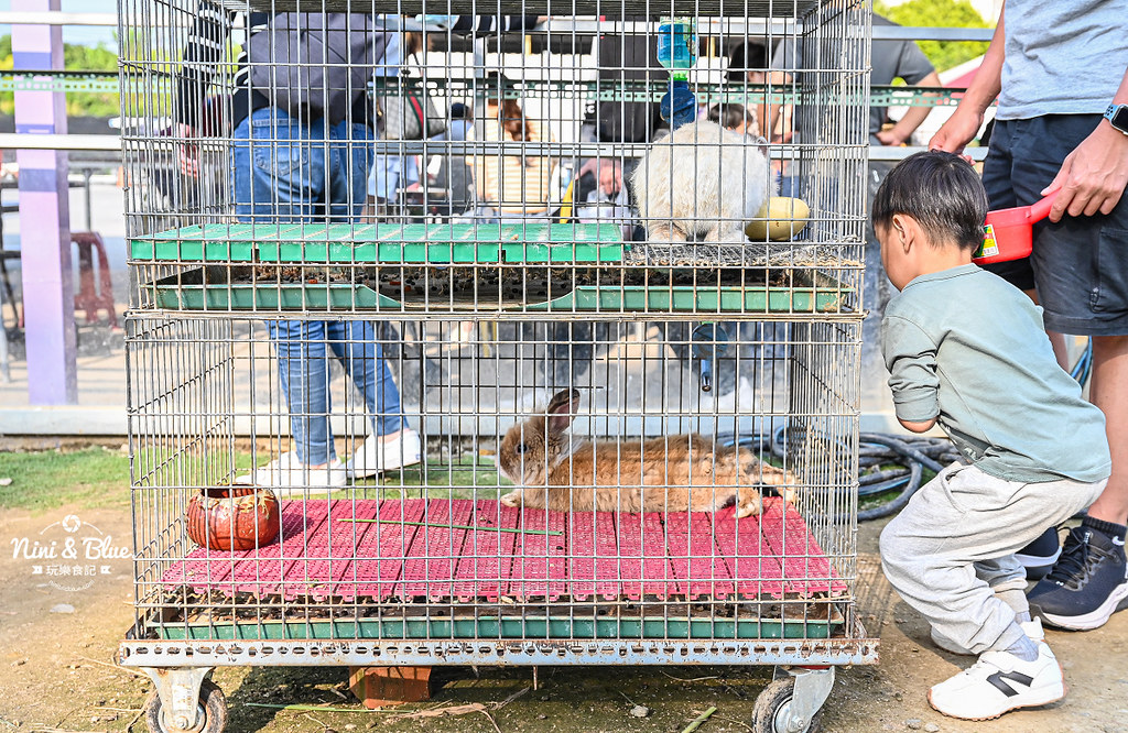 威爾森的農場 門票菜單台中景點餵動物35
