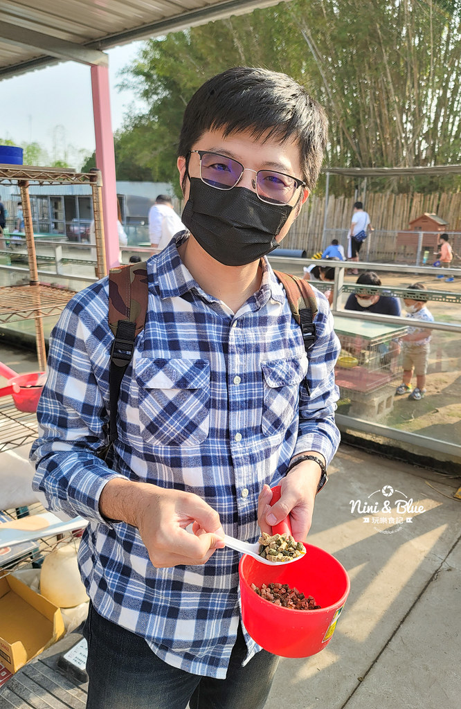 威爾森的農場 門票菜單台中景點餵動物16