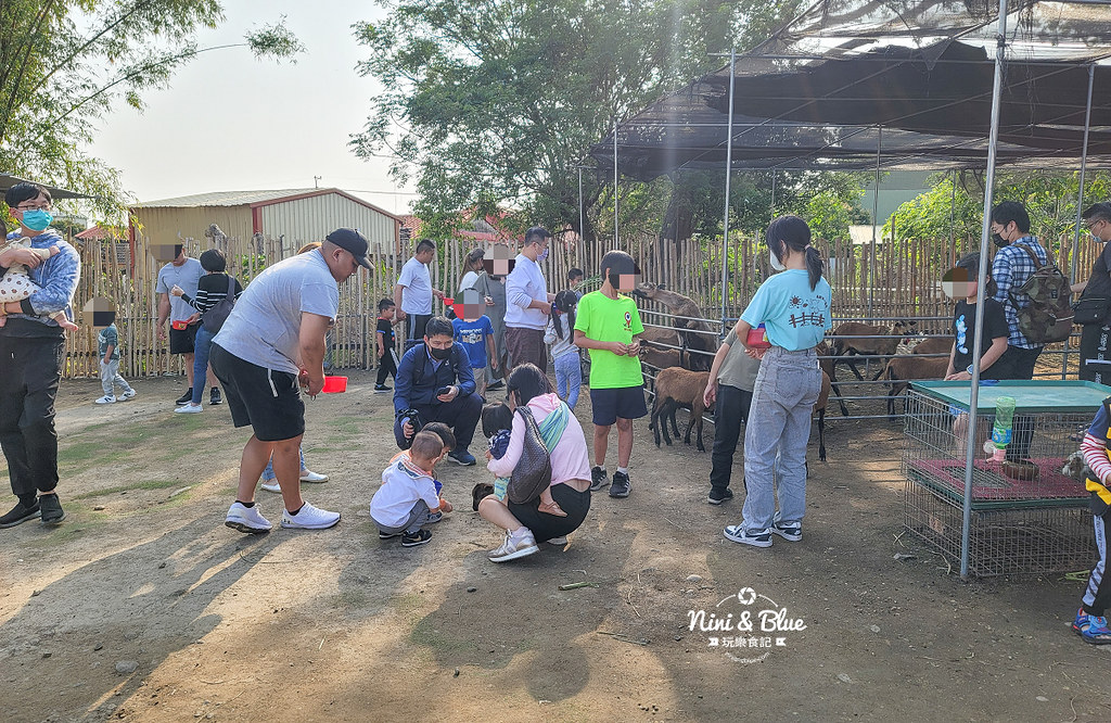 威爾森的農場 門票菜單台中景點餵動物03