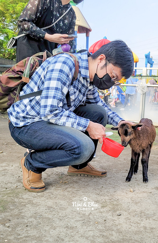 威爾森的農場 門票菜單台中景點餵動物21