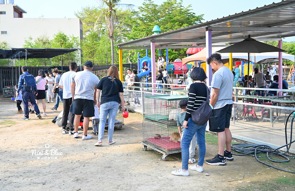 威爾森的農場 門票菜單台中景點餵動物33