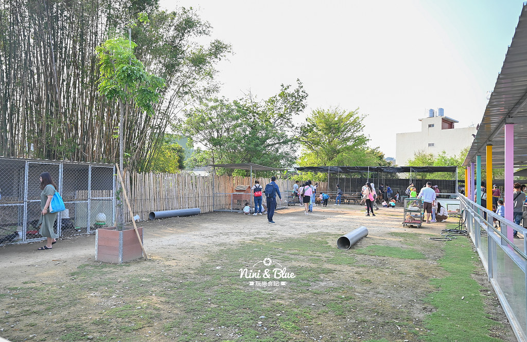威爾森的農場 門票菜單台中景點餵動物26