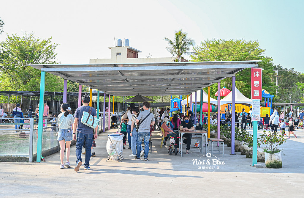 威爾森的農場 門票菜單台中景點餵動物25