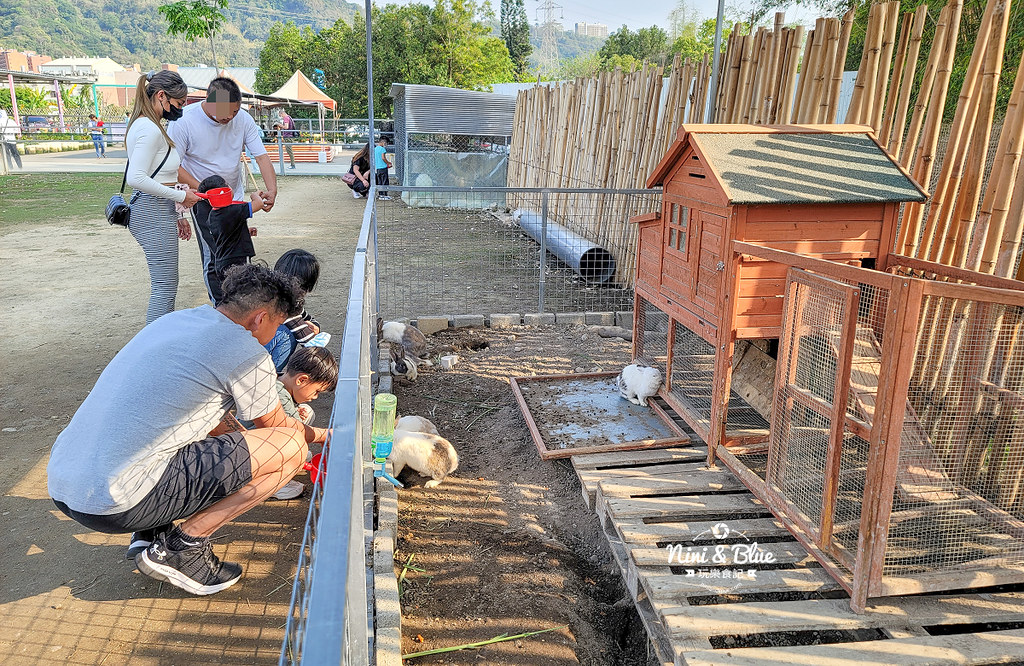 威爾森的農場 門票菜單台中景點餵動物06