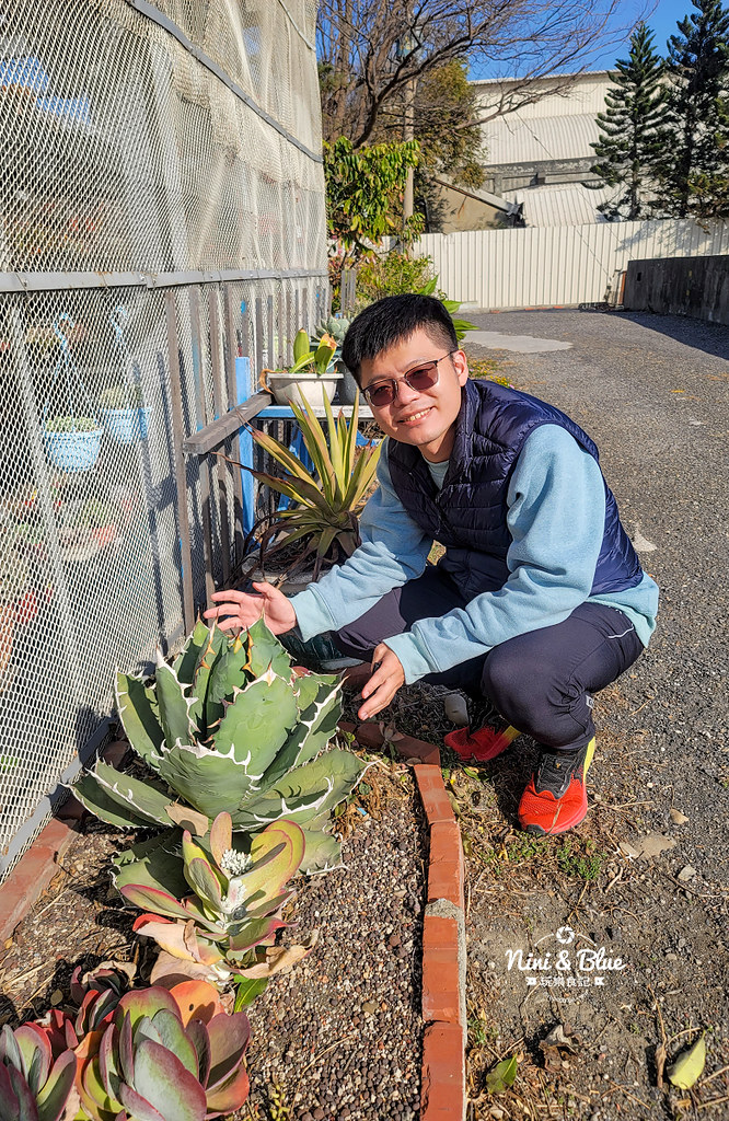 彰化線西鄉多肉園 繽紛多肉12