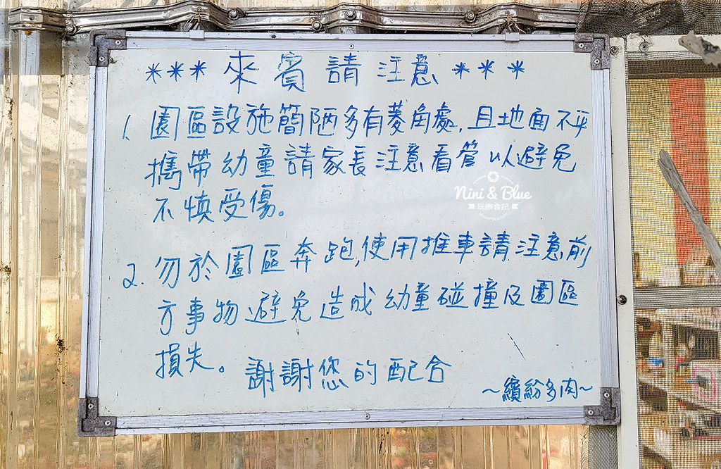 彰化線西鄉多肉園 繽紛多肉18