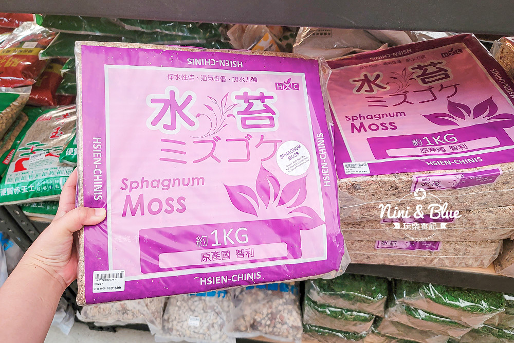 台中后里 萌芳花卉農場 后里蘭花景點24 台中后里 萌芳花卉農場 后里蘭花景點24