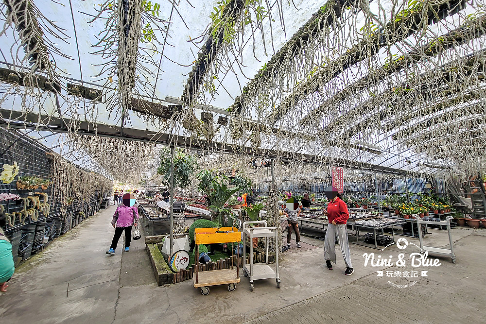 台中后里 萌芳花卉農場 后里蘭花景點17