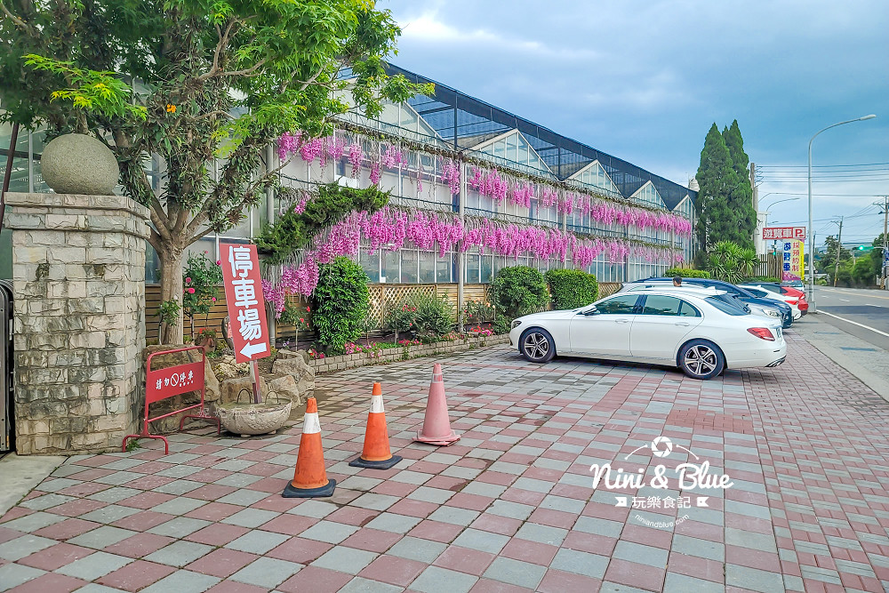 台中石斛蘭免費景點 萌芳花卉16