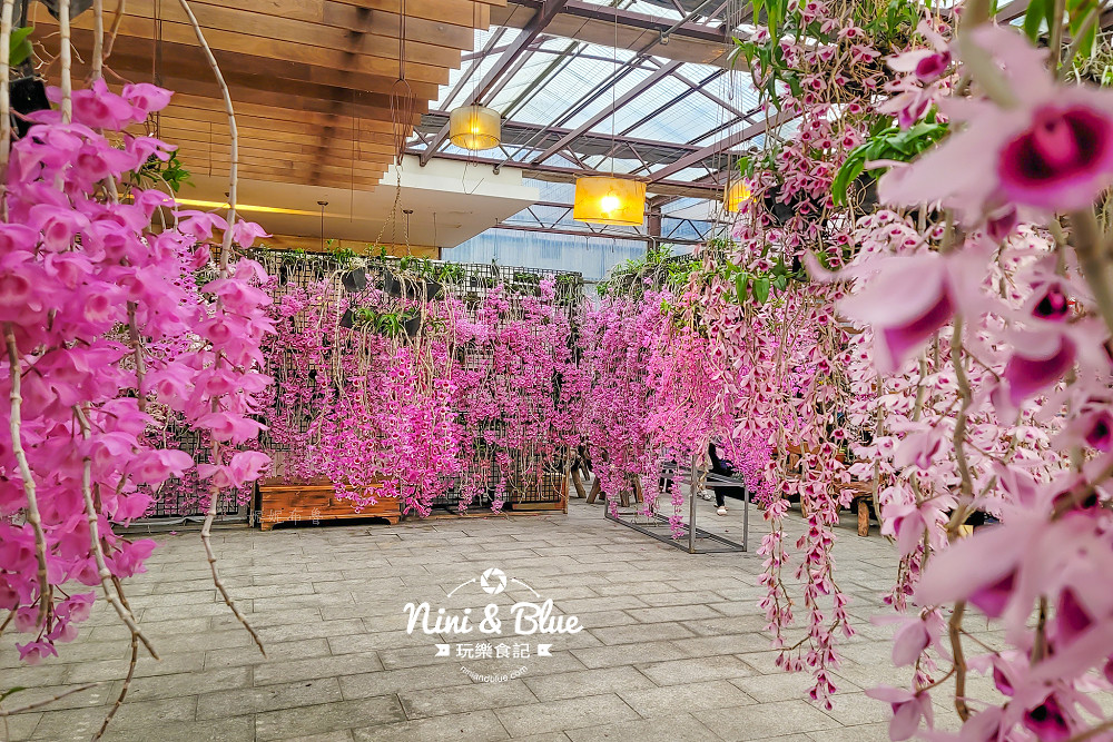 台中石斛蘭免費景點 萌芳花卉10