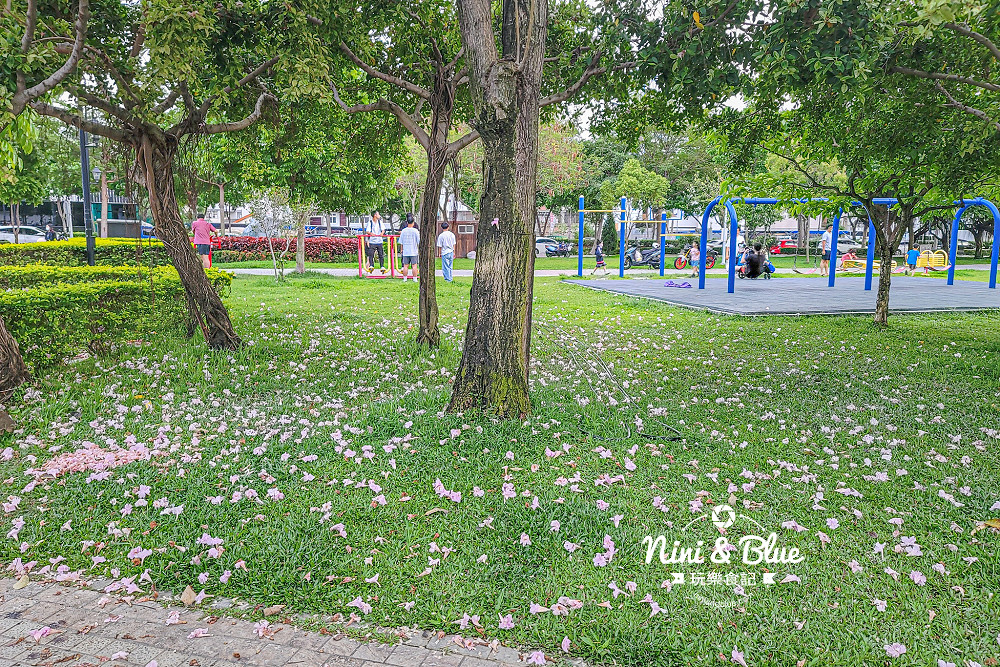 台中北屯寵物公園 新平公園11