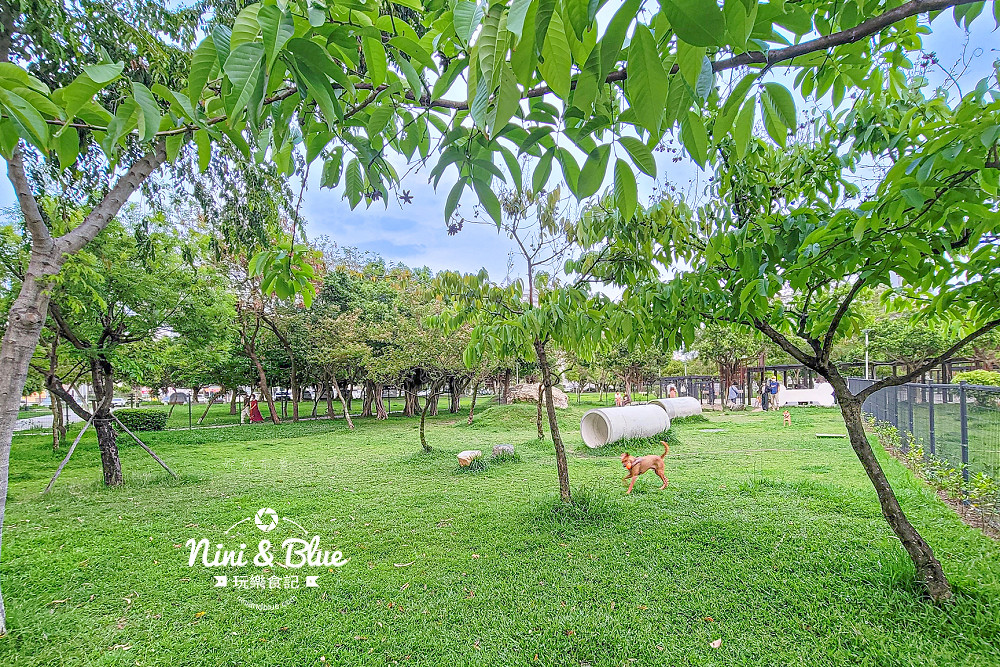 台中北屯寵物公園 新平公園02