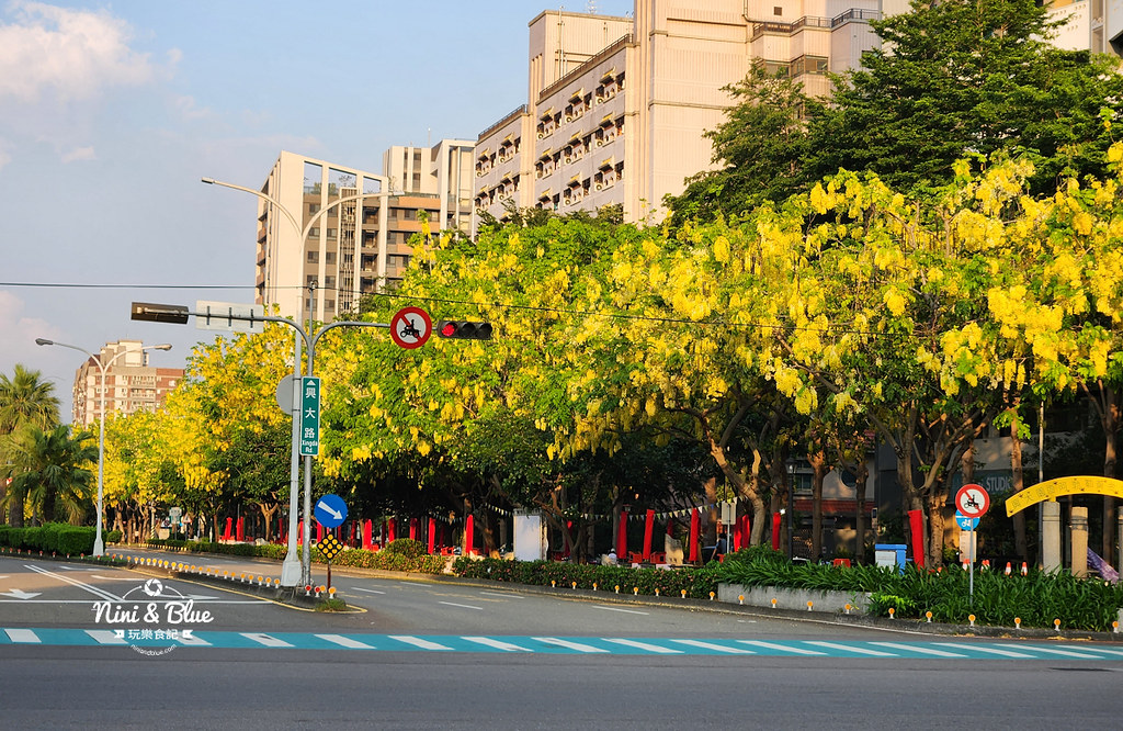 興大園道阿勃勒黃金步道14