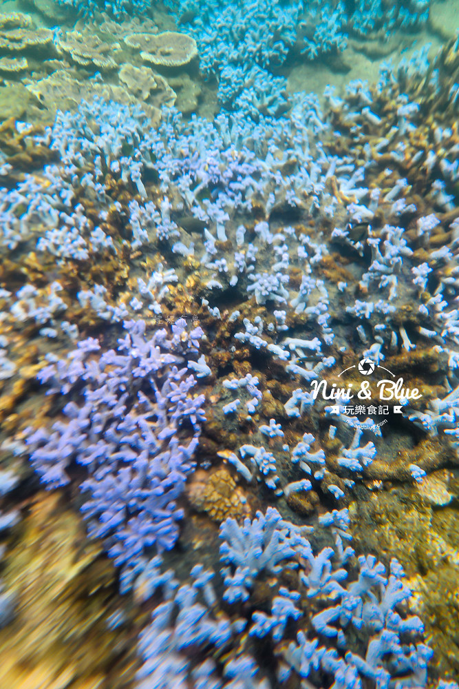 澎湖浮潛 薰衣草森林浮潛 南方四島 藍洞42