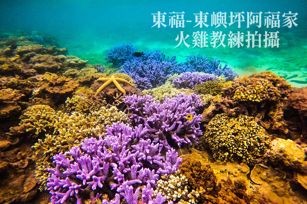 澎湖浮潛 薰衣草森林浮潛 南方四島 藍洞07