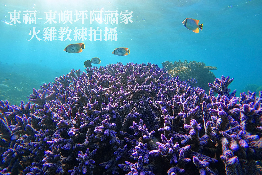澎湖浮潛 薰衣草森林浮潛 南方四島 藍洞06