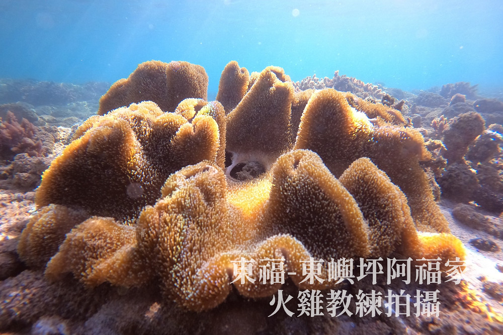 澎湖浮潛 薰衣草森林浮潛 南方四島 藍洞05