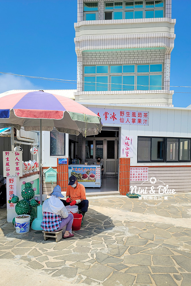 澎湖美食 西嶼小門 仙人掌 小管先生13 澎湖美食 西嶼小門 仙人掌 小管先生13