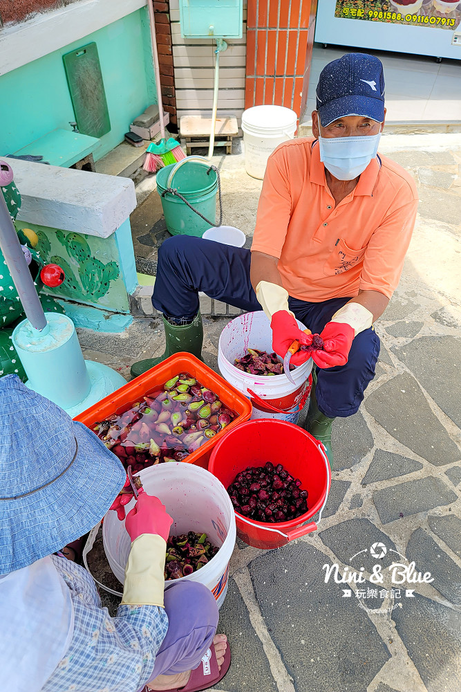 澎湖美食 西嶼小門 仙人掌 小管先生12