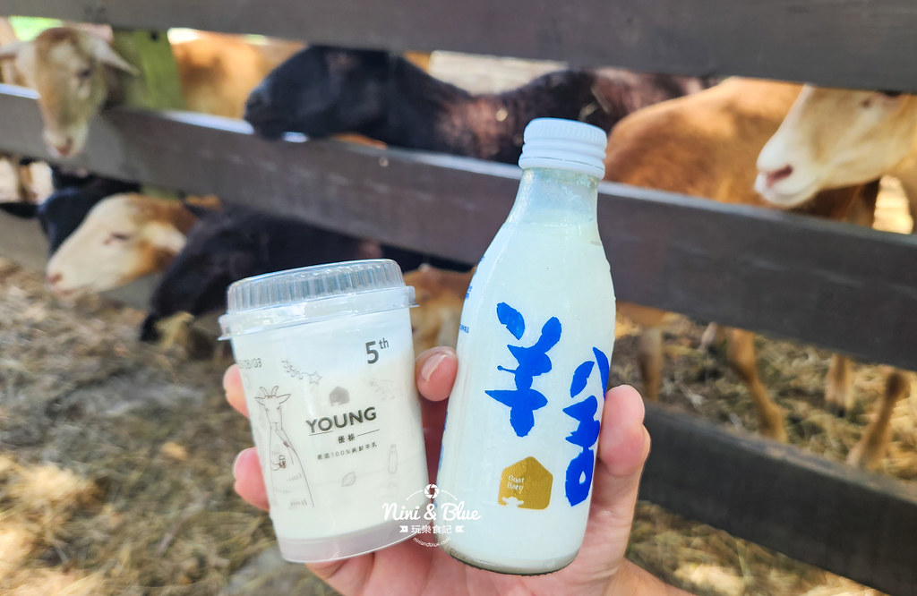 羊舍鮮羊乳彰化景點19 羊舍鮮羊乳彰化景點19