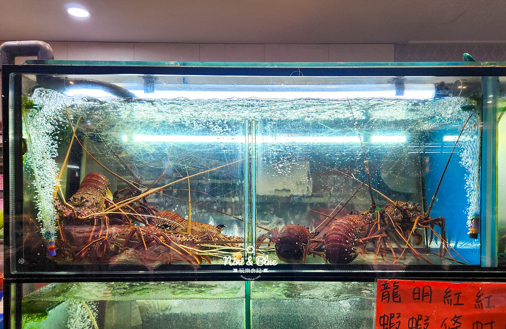 新林海鮮餐廳台中和菜餐廳05 新林海鮮餐廳台中和菜餐廳05