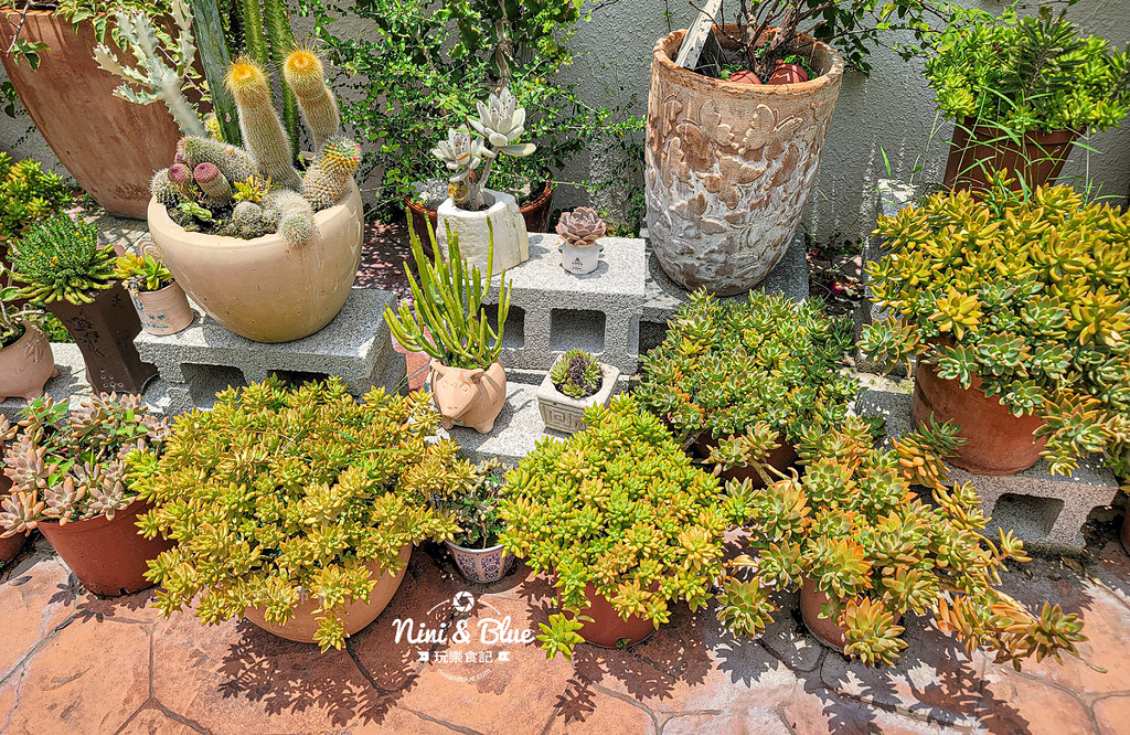 田尾 多肉好好買 荷蘭花園18