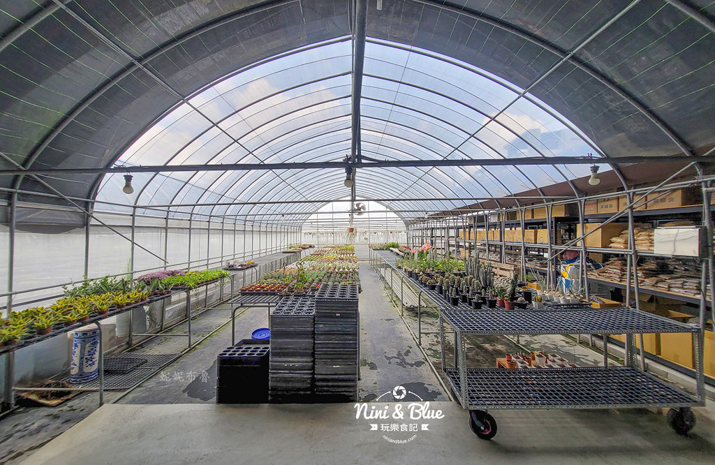 田尾 多肉好好買 荷蘭花園02