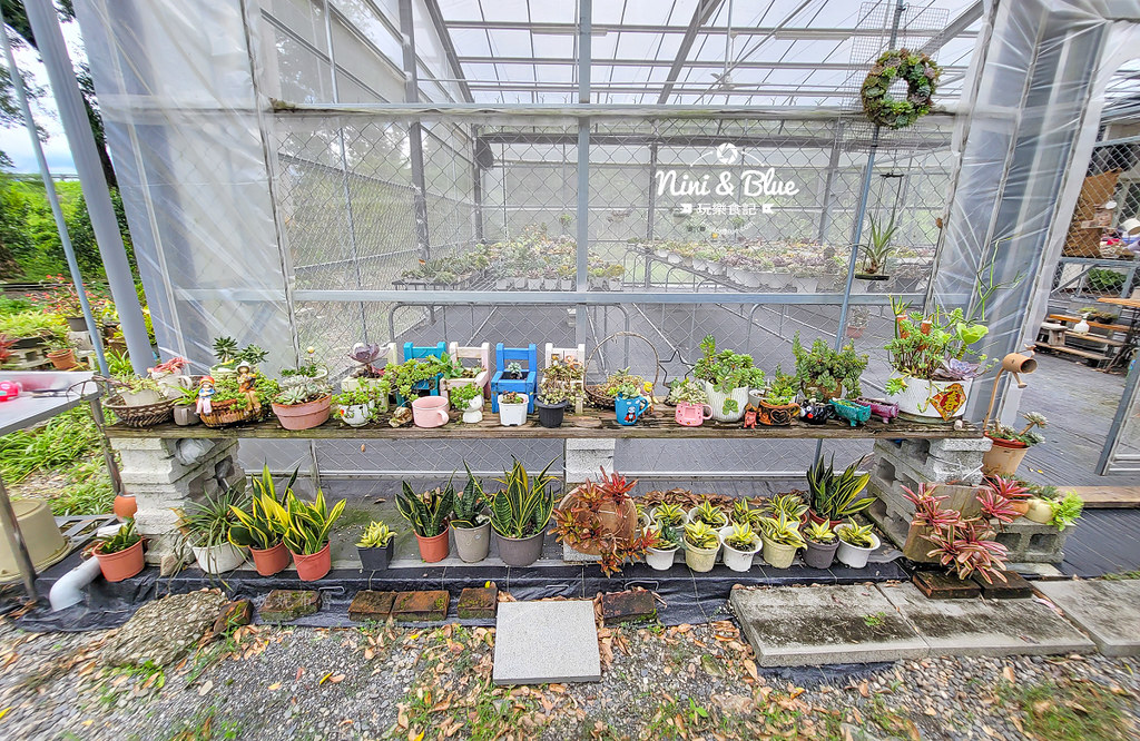 阿蓮娜多肉植物主題花園 南投埔里多肉03