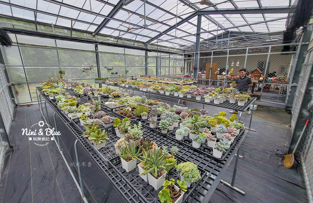 阿蓮娜多肉植物主題花園 南投埔里多肉05