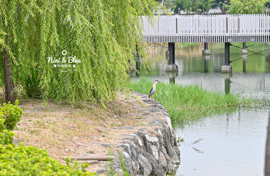 帝國糖廠湧泉公園 台中東區古蹟景點 生態公園28 帝國糖廠湧泉公園 台中東區古蹟景點 生態公園28