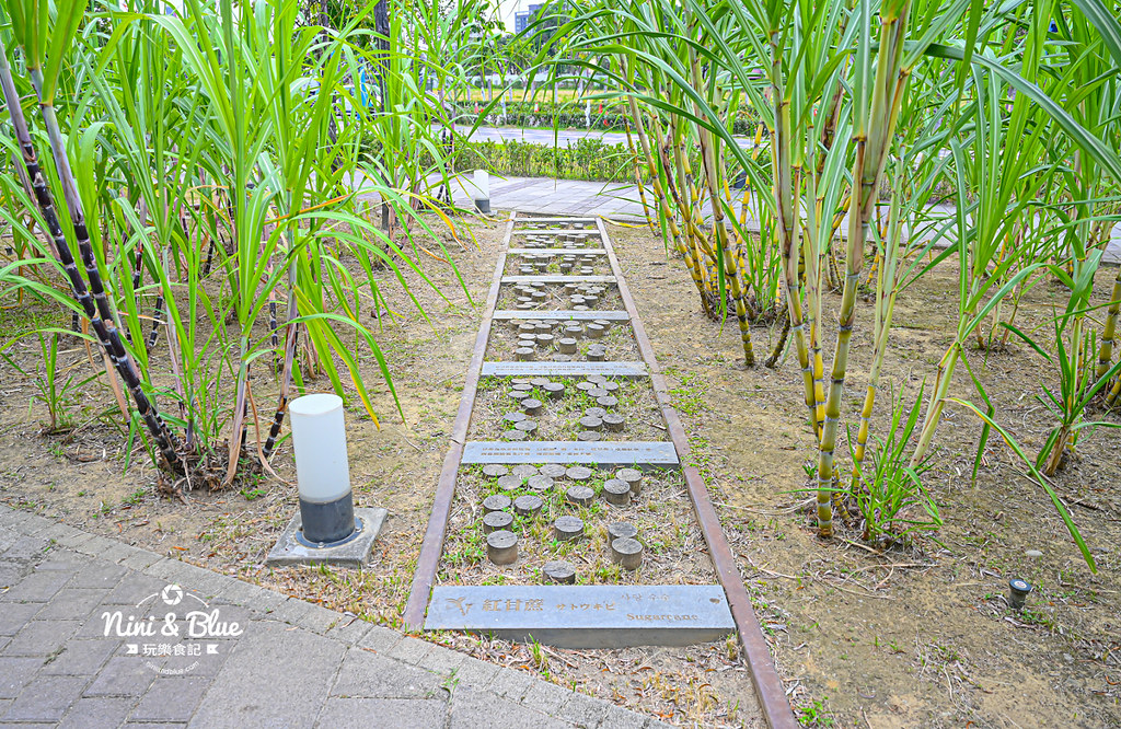 帝國糖廠湧泉公園 台中東區古蹟景點 生態公園14 帝國糖廠湧泉公園 台中東區古蹟景點 生態公園14