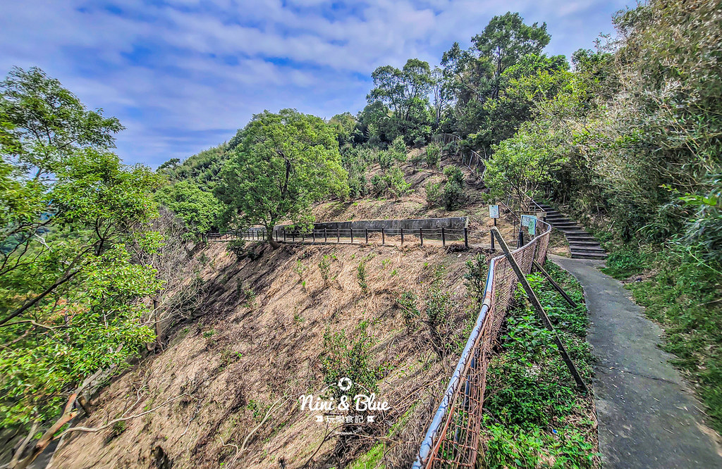 后里鳳凰山步道 觀音山步道 后里景點40