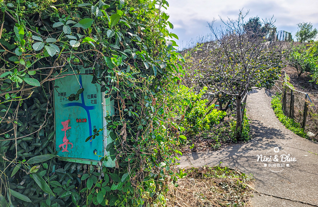 后里鳳凰山步道 觀音山步道 后里景點18