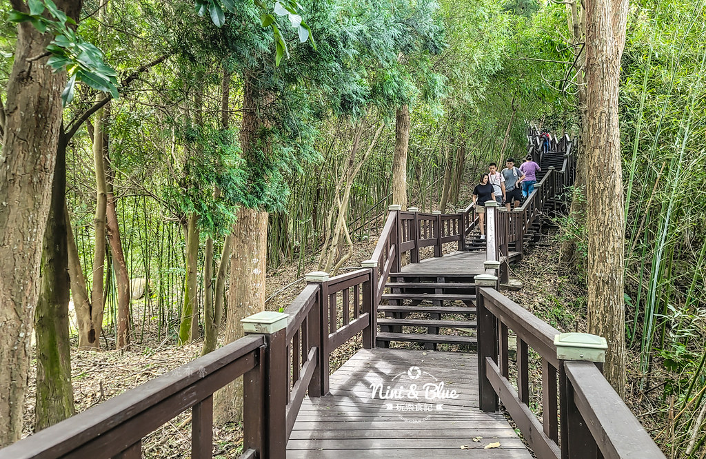 后里鳳凰山步道 觀音山步道 后里景點10