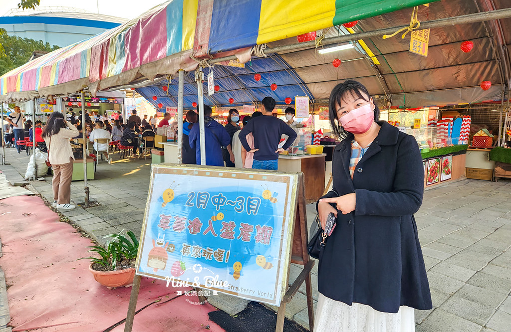草莓世界台中採草莓景點202415