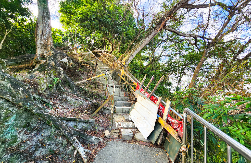 台中大坑觀音山登山步道26