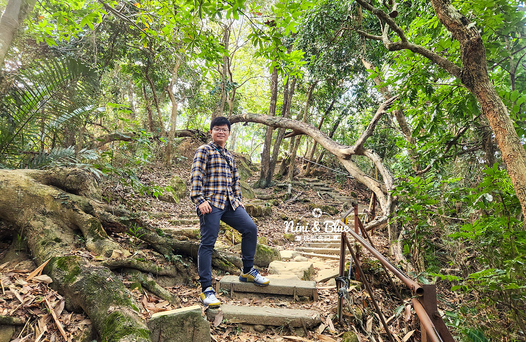 台中大坑觀音山登山步道28